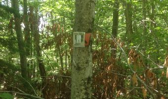 72-1 Frohock Brook Rd, Alton, NH 03810