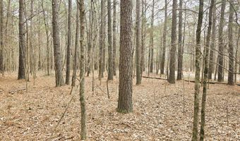 Zig Zag, Big Sandy, TN 38221