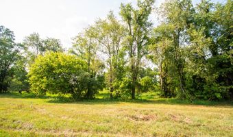 9250 92nd St SE, Alto, MI 49302