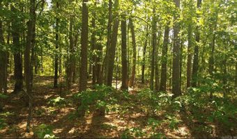 169 Brooke Ln, Bee Branch, AR 72013