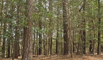 92 FOLLY CREEK Rd Lot 92, Accomac, VA 23301