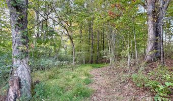 E Main Street, Beattyville, KY 41311