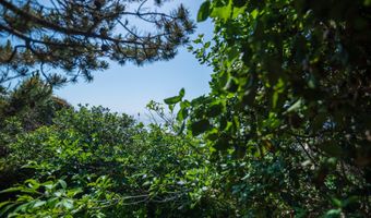 88677 WHITING Ln, Bandon, OR 97411