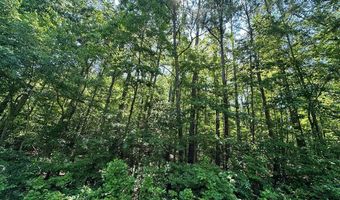 George Green Rd, Tallapoosa, GA 30176
