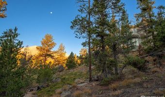 1997 Big Owl Rd, Allenspark, CO 80510