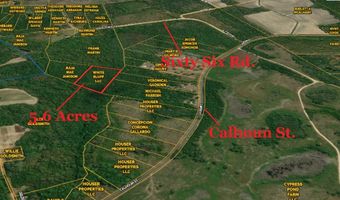 Calhoun Street, Branchville, SC 29432