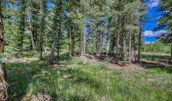 N Ridge Court lot 3, Antonito, CO 81120