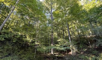 462 Lake View Dr, Barbourville, KY 40906