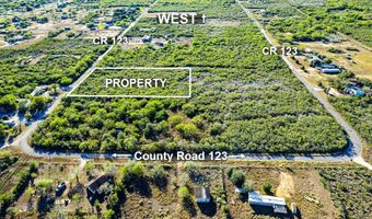 000 County Road 123, Alice, TX 78332