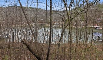 272 NORTHPOINTE Dr, Arley, AL 35541