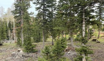 646 W Ski View Dr, Brian Head, UT 84719