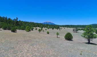 22750 County Rd 46, Aguilar, CO 81020
