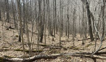 0 TBD Elleber Sods Rd, Bartow, WV 24920