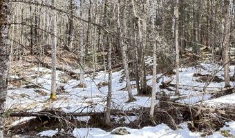 Hollow Road, Barton, VT 05822