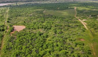 1678 Buerger, Archer City, TX 76351