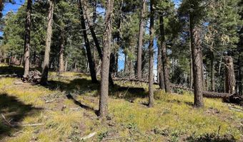 Calle de los Indios lot 101, Angel Fire, NM 87710