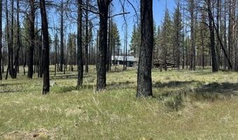 Off-Hicks Road, Bly, OR 97622