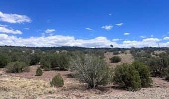 41 Indian Drive CR 8062, Concho, AZ 85924