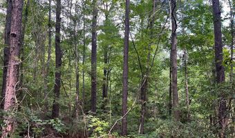 TBD County Road 40, Abbeville, AL 36310