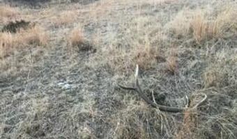 Tract 8 Lone Elk Ranch, Alva, WY 82711