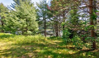 M19 L8 Church Farm Road, Beddington, ME 04622