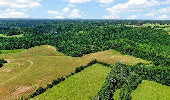 193 Ac Massa Rd, Baxter, TN 38544