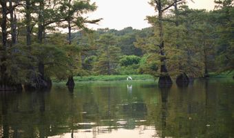 Bolivar Road, Benoit, MS 38725