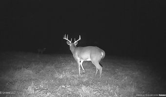 001 Farr Rd, Bolton, MS 39041