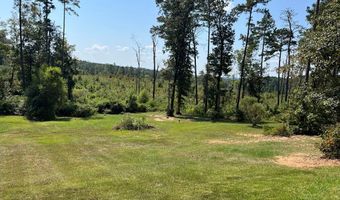 401 County Road 92, Abbeville, AL 36310