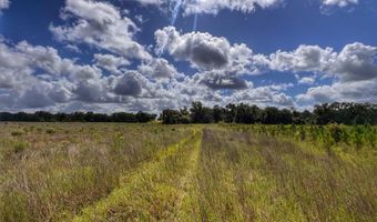7009 129 Hwy, Bell, FL 32619