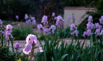 927 CAMINO VISTA RIO, Bernalillo, NM 87004