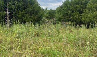 Cr 972 lot 0, Alpena, AR 72611