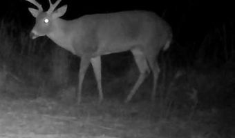 Hwy 9, Bruce, MS 38915