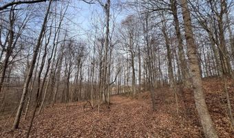 1383 HogBack Rd, Albany, KY 42602
