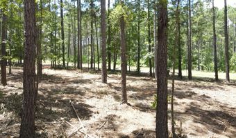 Lot 6 Lighthouse Point, Lincolnton, GA 30817