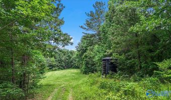 Unit # 0 Murphree Valley Road, Altoona, AL 35952