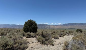 Fenceline Road, Gardnerville, NV 89410