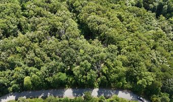 Bayside Boulevard lot 14, Bean Station, TN 37708
