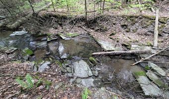 Stewart Road, Addison, NY 14801
