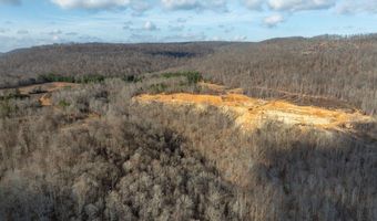 700 Acres Puncheon Creek Ln, Allred, TN 38542