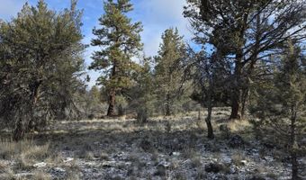 Lots 25-27 Canvasback Drive, Bonanza, OR 97623