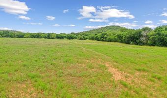 Tract 1 74.227 Acres Goen Road, Millsap, TX 76066