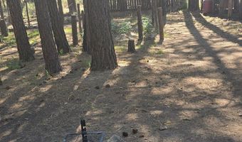 Smith Drive lot 5, Beatty, OR 97621