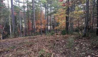 134 Sandy Lake Ln, Blairsville, GA 30512