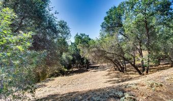 336 Catalpa Ln, Angels Camp, CA 95222