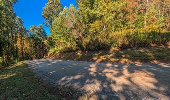 Nicholas Knoll 41, Bakersville, NC 28705