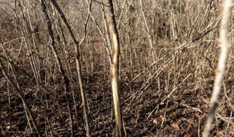 0 Thomas Rd, Altoona, KS 66710