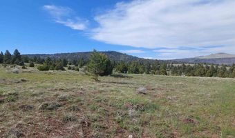 01195 Rito Hondo Rd, Antonito, CO 81120
