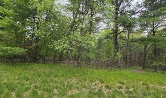 S Badger Lane lot 38, Arkdale, WI 54613