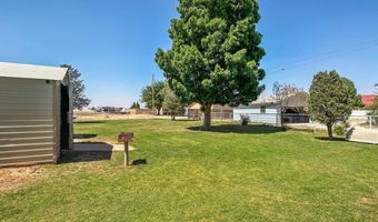 808 E Chapman Rd, Carlsbad, NM 88220
